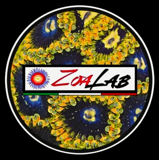 Zoa pack Andrea
